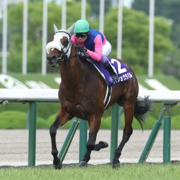 【宝塚記念】武豊メイショウタバル連覇へ