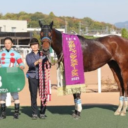 【飯島の土曜競馬コラム・東京ジャンプＳ】	