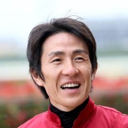 【新居の土曜競馬コラム・函館スプリントＳ】	