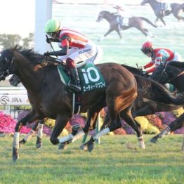 【武田の土曜競馬コラム・函館スプリントＳ】	