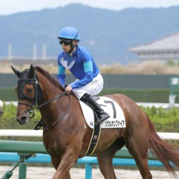 【田中の土曜競馬コラム・安芸特別】	