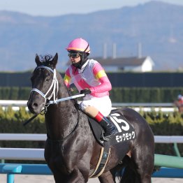【藤岡の土曜競馬コラム・三宮Ｓ】	