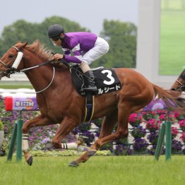 【新谷の土曜競馬コラム・函館スプリントＳ】	