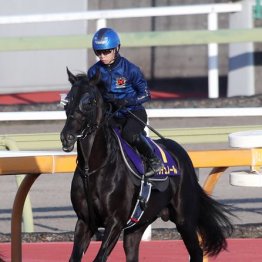 【宝塚記念】出走全馬の特選情報