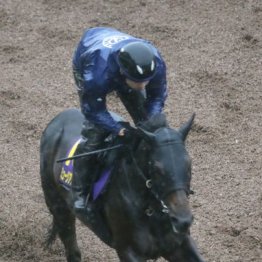 【宝塚記念】出走全馬の特選情報