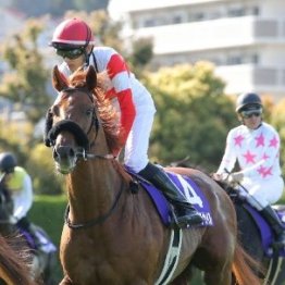 【武田の日曜競馬コラム・宝塚記念】