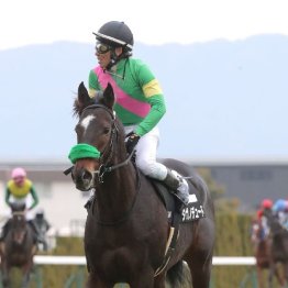 【橘の日曜競馬コラム・宝塚記念】