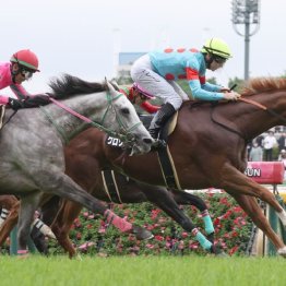 【東京本紙・外山の日曜東京11Ｒ】