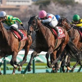 【東京本紙・外山の宝塚記念】