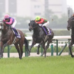 【宝塚記念】メイショウタバルが連覇達成