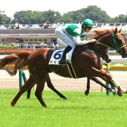 タバル父子恵みの雨で連覇達成、クロワ父子は涙雨に