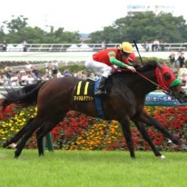 【パラダイスＳ】マイネルチケット差し切り
