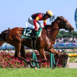 【府中牝馬Ｓ】ハンデが鍵を握る牝馬の戦い