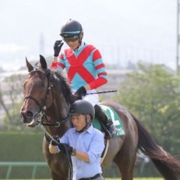 【しらさぎＳ】３歳馬からベテランまで実力馬が揃う