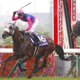 宝塚記念を連覇　ユタカさんほど雨馬場にフィットする騎手はいない