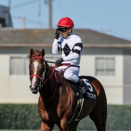 【２０２６年にデビューする新種牡馬紹介】⑤ウィルテイクチャージ　米国王道路線で活躍したパワー型ダートサイアー