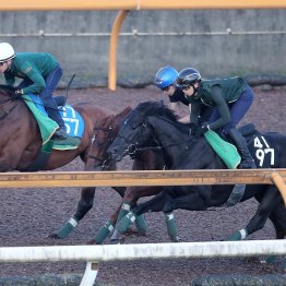 【しらさぎＳ】ベラジオボンドこれまでよりハードに乗り込む