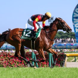 【府中牝馬Ｓ】〝猫の目〟牝馬重賞の連覇を狙うセキトバイースト