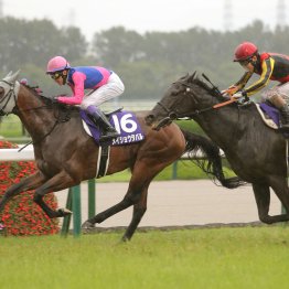 目立ったロードカナロア産駒の活躍と１番人気の強さ　上半期のＧⅠを振り返る