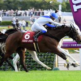 【府中牝馬Ｓ】データ作戦　ラッキーカラーは青