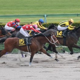 【市川の土曜競馬コラム・スレイプニルＳ】