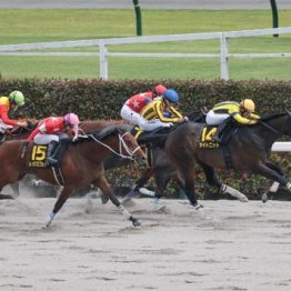 【武田の土曜競馬コラム・スレイプニルＳ】