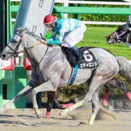 【橘の土曜競馬コラム・天保山Ｓ】