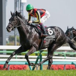 【東京本紙・外山の土曜東京９Ｒ】