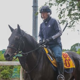 【飯島の日曜競馬コラム・府中牝馬Ｓ】