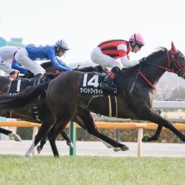 【橘の日曜競馬コラム・府中牝馬Ｓ】