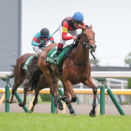 日曜２重賞はリピータが活躍　非サンデー系セキトバイーストが梅雨時期の渋った馬場も味方に連覇