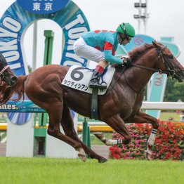 日曜２重賞はリピータが活躍　非サンデー系セキトバイーストが梅雨時期の渋った馬場も味方に連覇