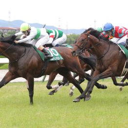 日曜２重賞はリピータが活躍　非サンデー系セキトバイーストが梅雨時期の渋った馬場も味方に連覇