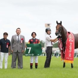 【府中牝馬Ｓ】レース後の談話（ネットオリジナルを含む）
