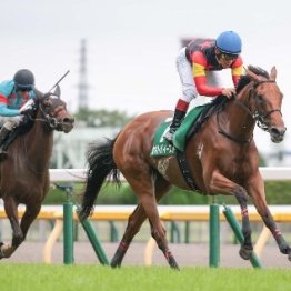 【府中牝馬Ｓ】セキトバイースト３馬身差圧勝はパワーアップと陣営の好判断