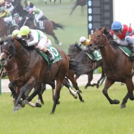【しらさぎＳ】実績馬エルトンバローズ復活を夏男があと押し