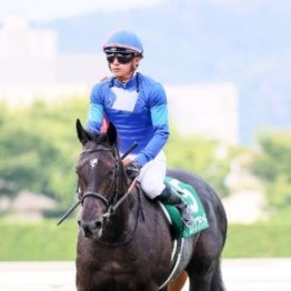 【ラジオＮＩＫＫＥＩ賞】重賞好走馬がどの程度ハンデを背負うのかがポイント