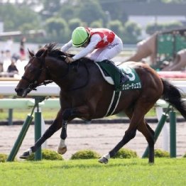 【函館記念】昨年は３連単69万円の荒れる重賞