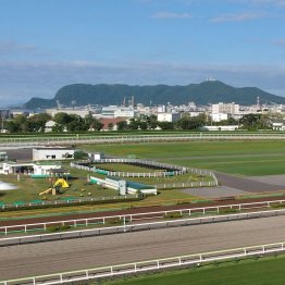 厩舎関係者から１番人気の函館は人馬にとって快適で過ごしやすい環境