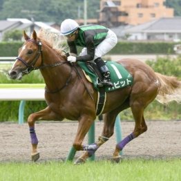 【ラジオＮＩＫＫＥＩ賞】穴馬券２つのパターン　先行粘り込みか後方一気
