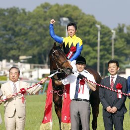 【２０２６年にデビューする新種牡馬紹介】⑧マカヒキ　ダービーを制したディープ系王道血統