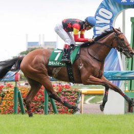 最終週の東京は逃げた馬が大活躍