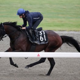 【ラジオＮＩＫＫＥＩ賞】調教マル得チェック①
