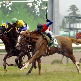 【ラジオＮＩＫＫＥＩ賞】やはり５７キロ超のハンデは重い！？ 壁に挑む３頭