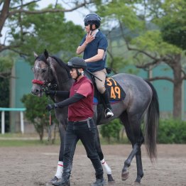 【ラジオNKKEI賞】リッツパーティー初重賞取り