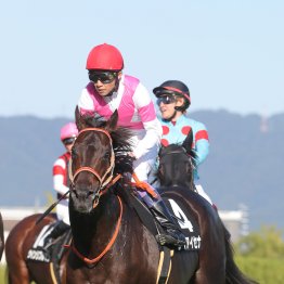 【函館記念】武豊ケイアイセナでディープインパクト産駒の重賞３００勝リーチとなるか