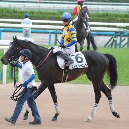【播磨の土曜競馬コラム・ＷＩＮ５】