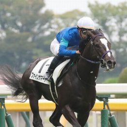 【飯島の土曜競馬コラム・福島12Ｒ】