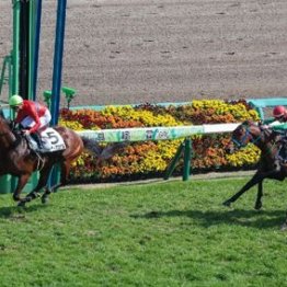 【大谷の土曜競馬コラム・バーデンバーデンＣ】