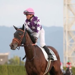 【橘の土曜競馬コラム・バーデンバーデンＣ】